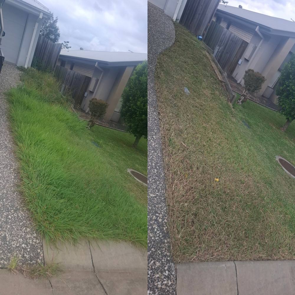 Before and after: Backyard Overgrown