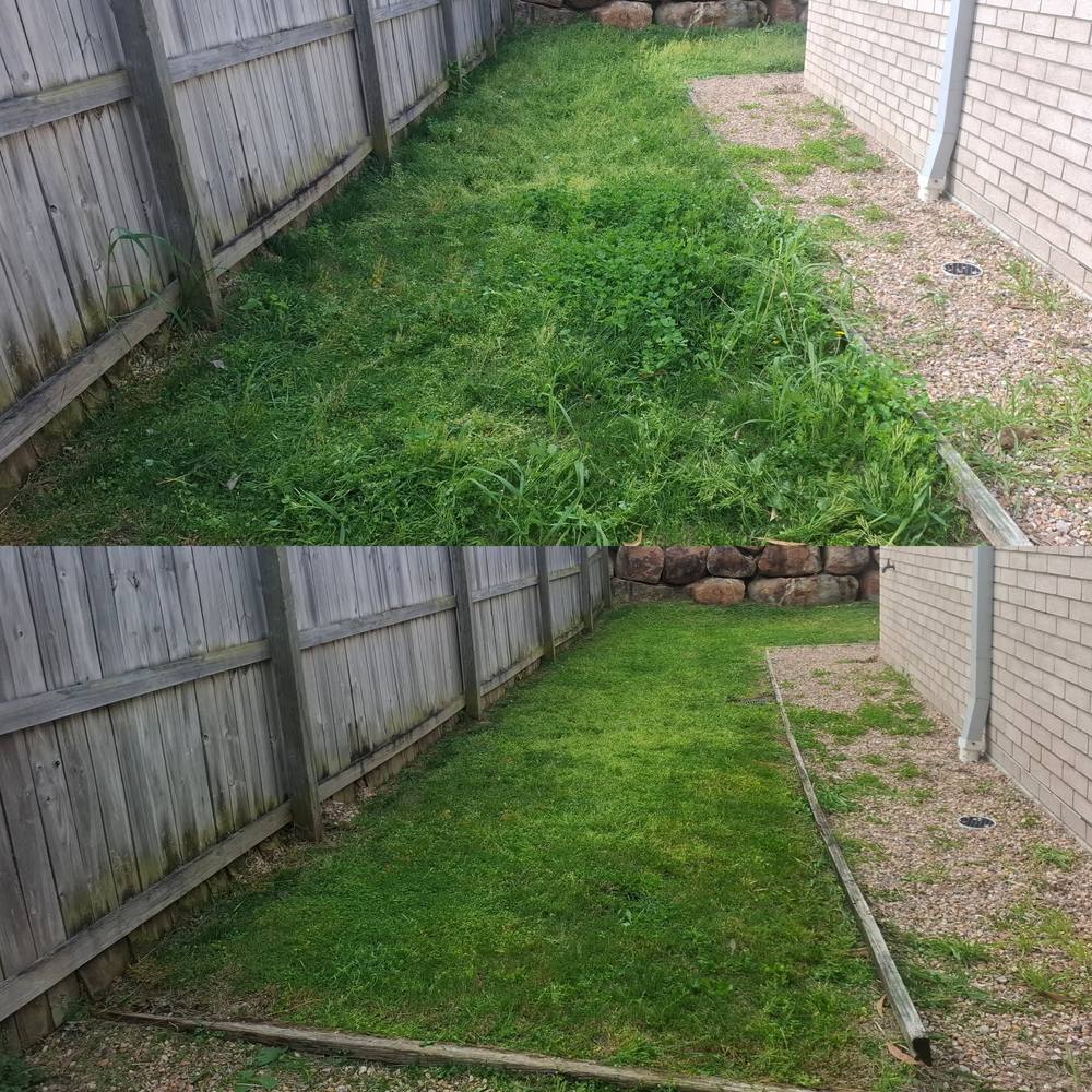 Before and after: Fence Line