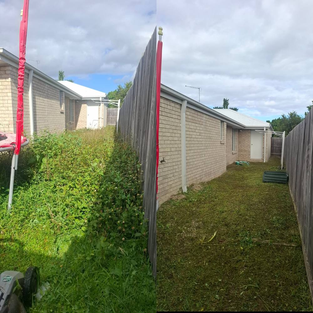 Before and after: Narrow Side Yard