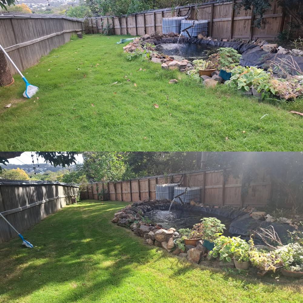 Before and after garden clean-up around a backyard pond