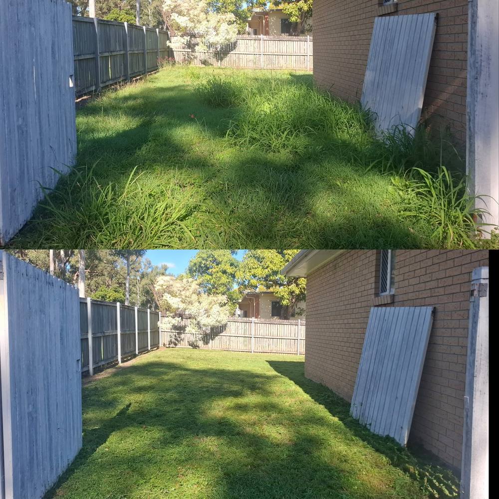 Before and after mowing a tall grass side yard