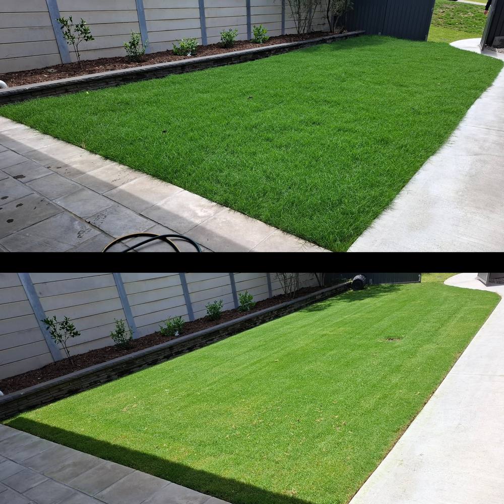 Before and after: Nature Strip